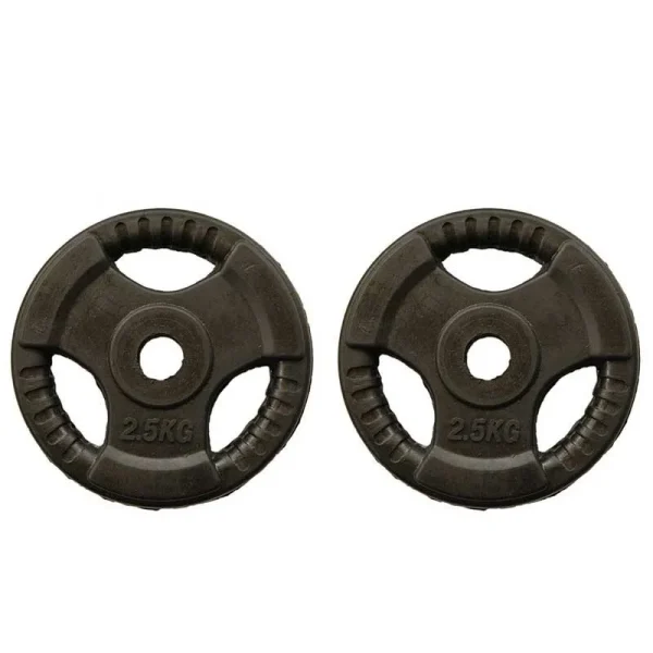 Product image 1 for وزنه هالتر مدل SHR وزن 2.5 کیلو گرم